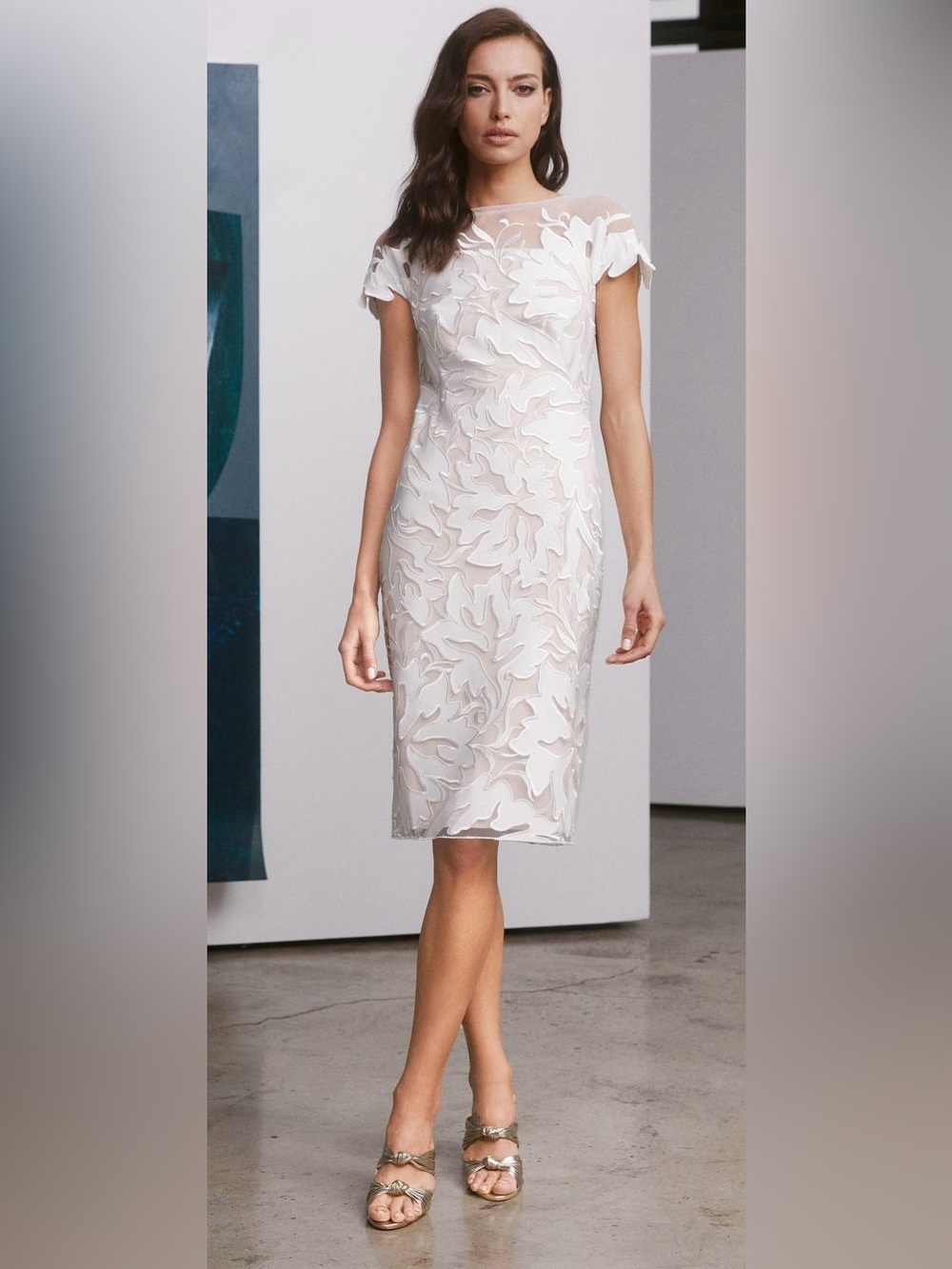 Tadashi Shoji Illusion Cocktail Dress